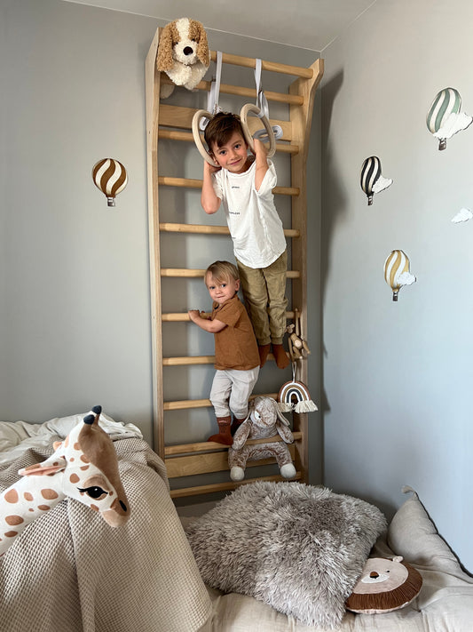 TAIMI wall bars - wall climbing frame