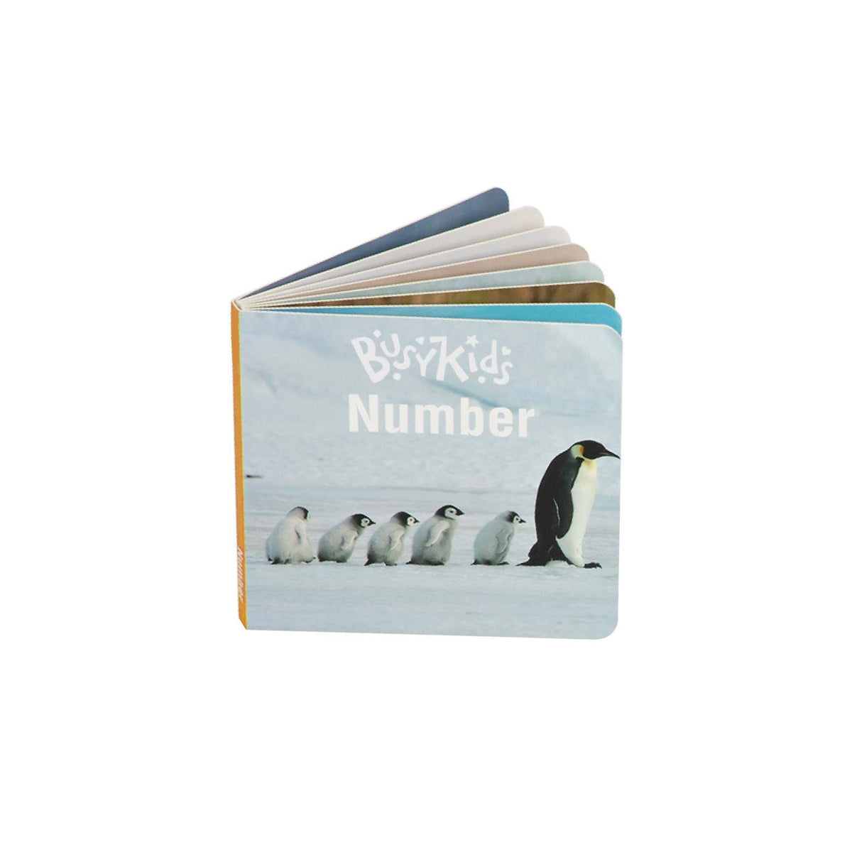 BusyKids Montessori box – 24-36 maanden – productbeeld 19