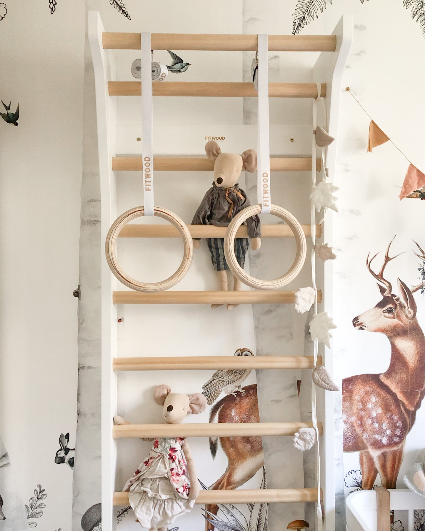 TAIMI wall bars - wall climbing frame