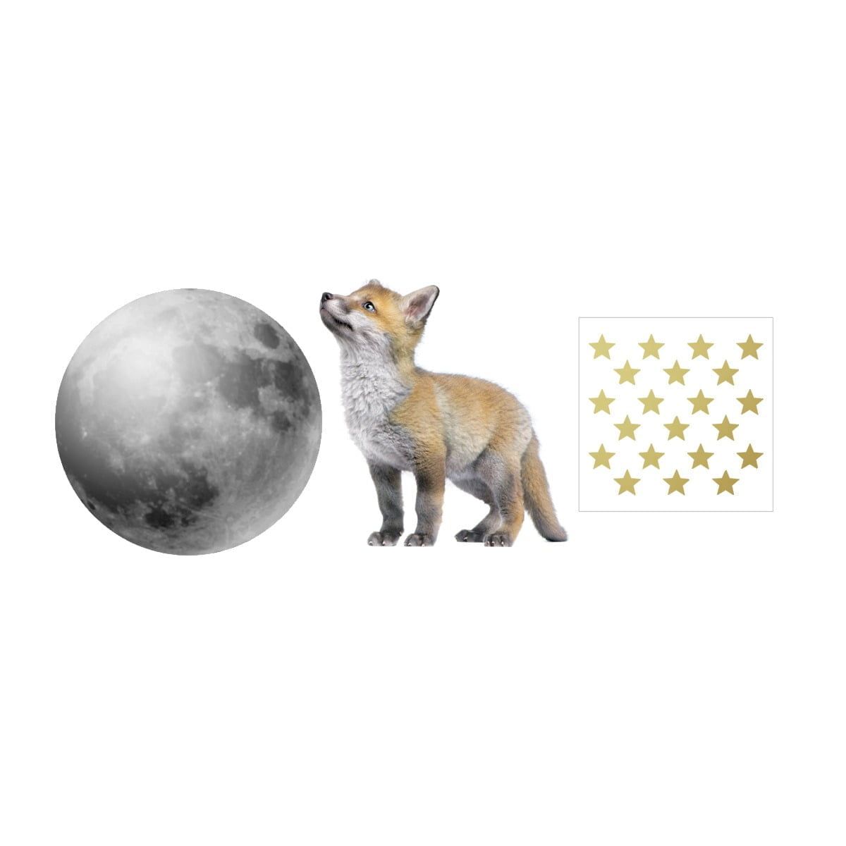 Little Fox And His Friend The Moon Set - 